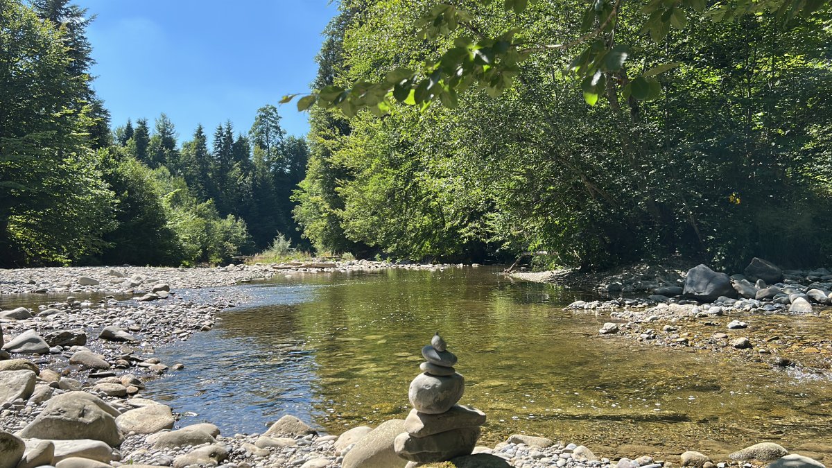 zwischenmoment im fluss